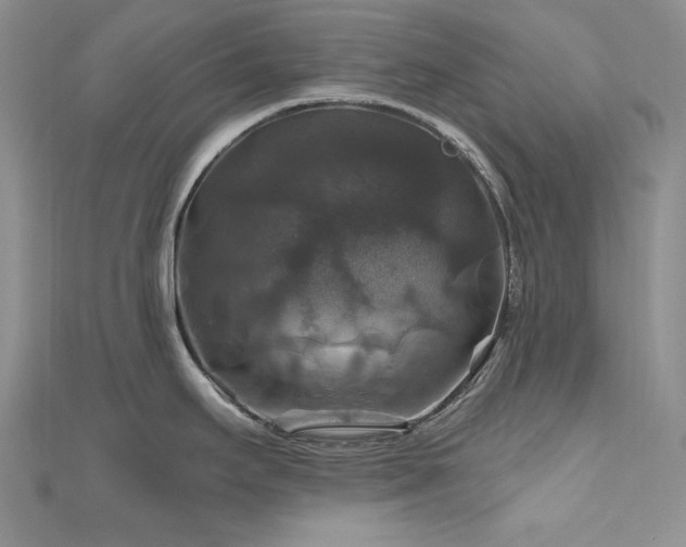 X0000111201295200907011425