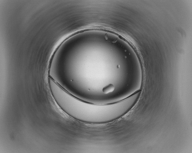 X0000111201296200907011425