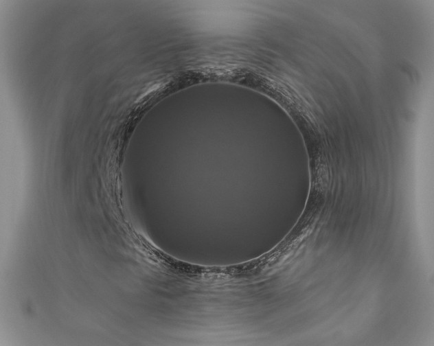 X0000111201297200907011424