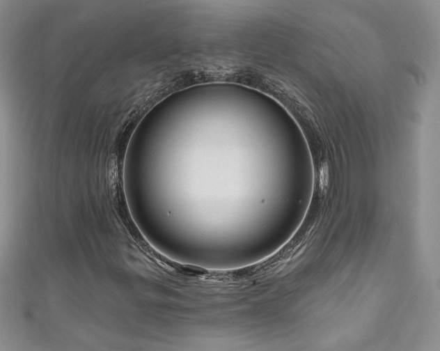 X0000111201299200907011424
