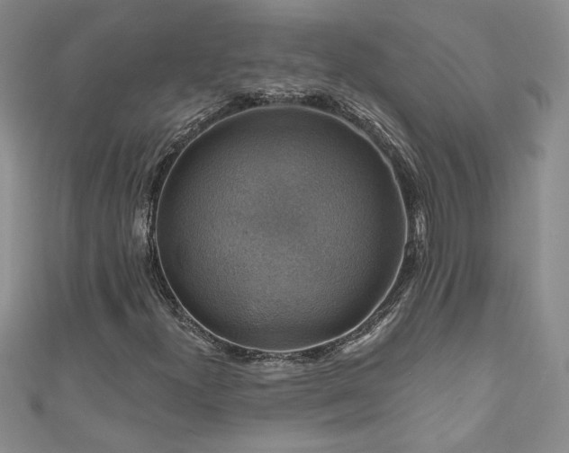 X0000111201300200907011424