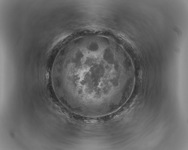 X0000111201302200907011424