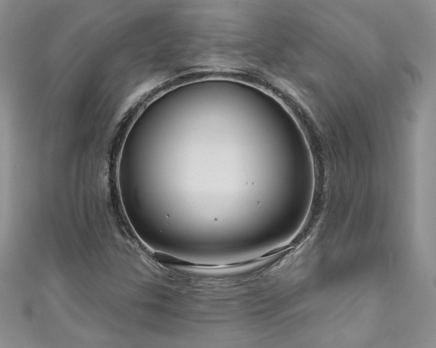 X0000111201307200907011424