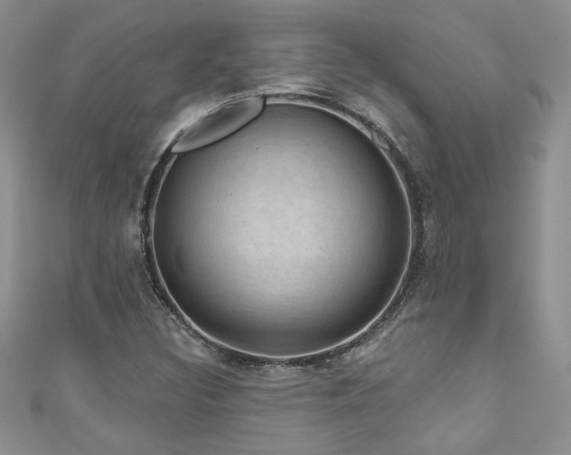 X0000111201308200907011424