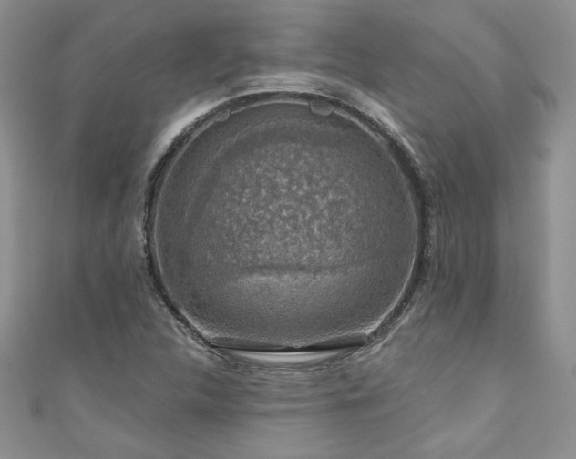 X0000111201312200907011424