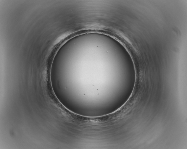 X0000111201315200907011424