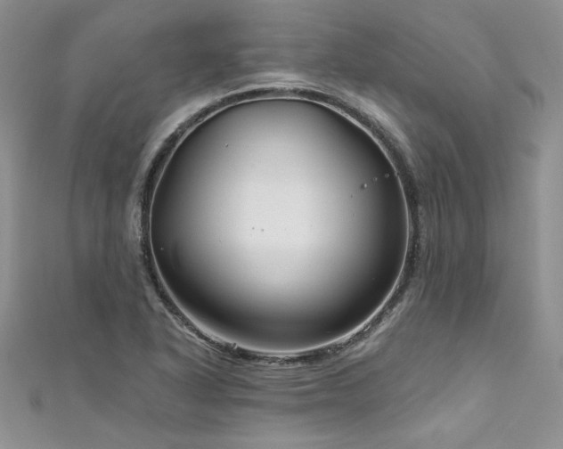 X0000111201318200907011424