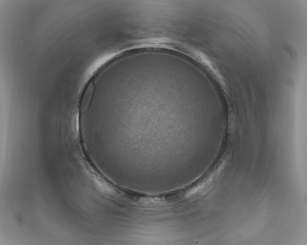 X0000111201320200907011424