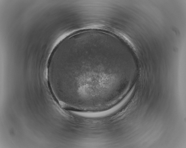 X0000111201324200907011424