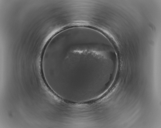 X0000111201325200907011424