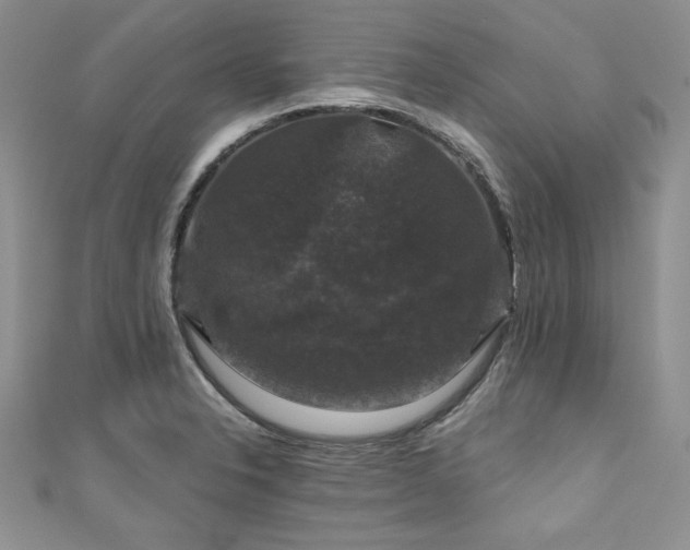 X0000111201326200907011425