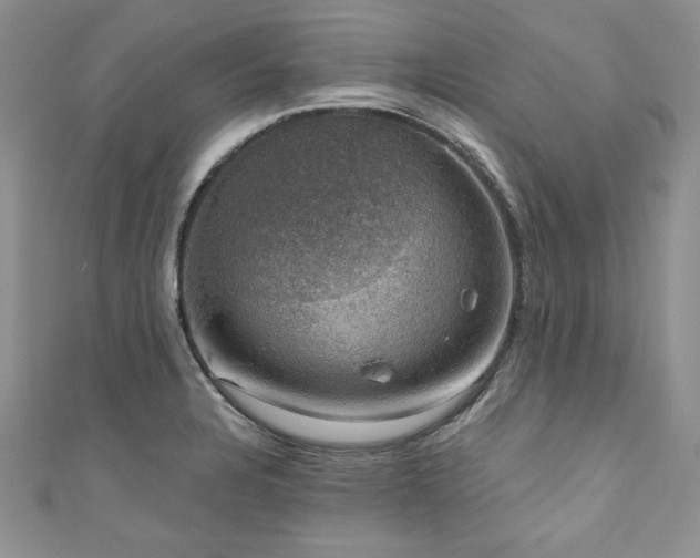 X0000111201328200907011425
