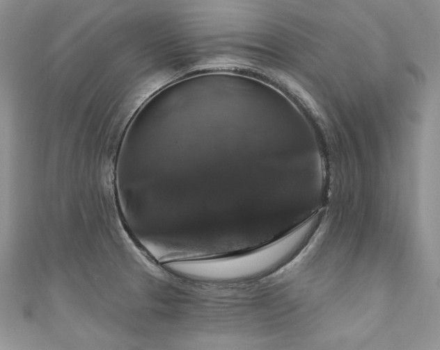 X0000111201329200907011425
