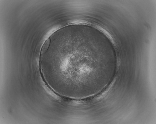 X0000111201330200907011425