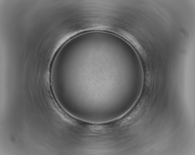 X0000111201332200907011425