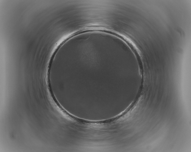 X0000111201333200907011425