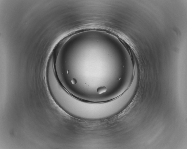 X0000111201334200907011425