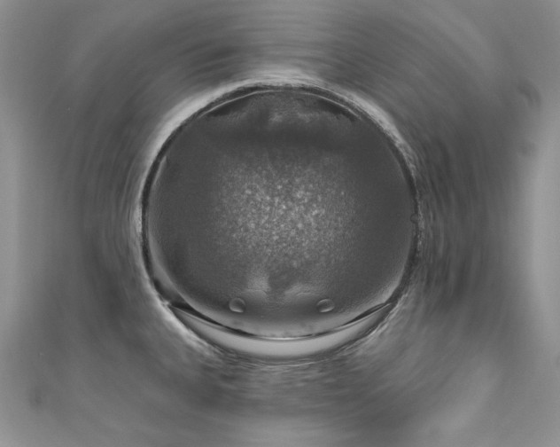 X0000111201335200907011425