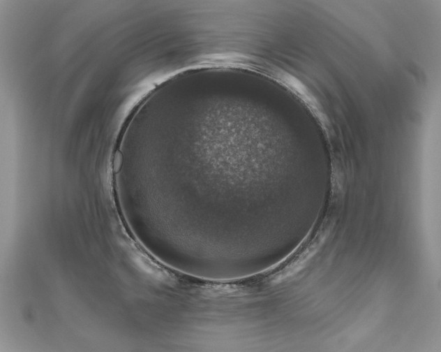 X0000111201336200907011425