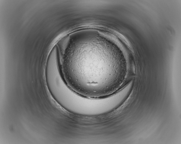 X0000111201338200907011425