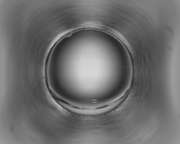 X0000111201339200907011425