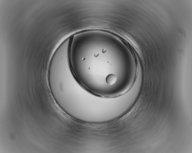 X0000111201340200907011425