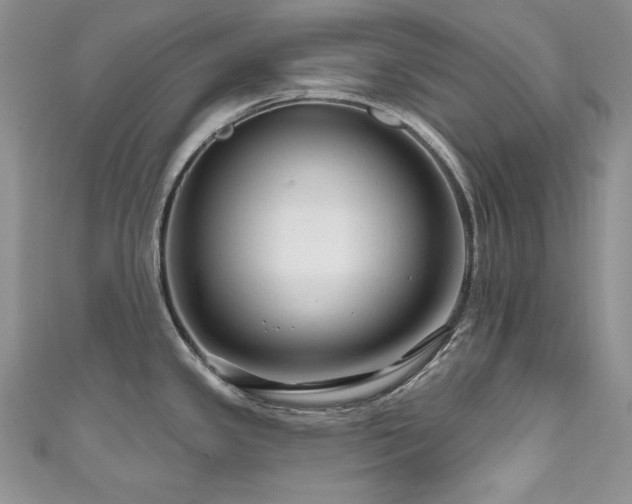 X0000111201341200907011425