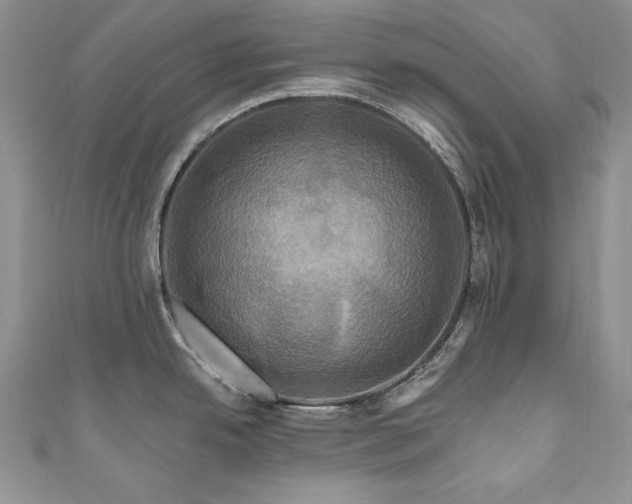 X0000111201342200907011425