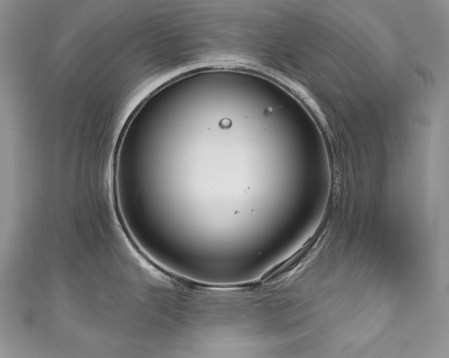 X0000111201343200907011425
