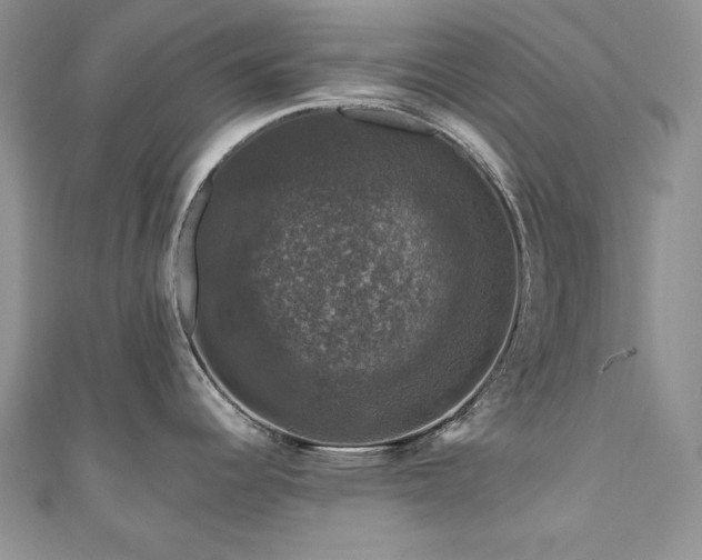 X0000111201344200907011425