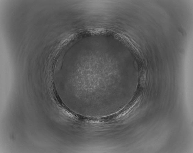 X0000111201345200907011424