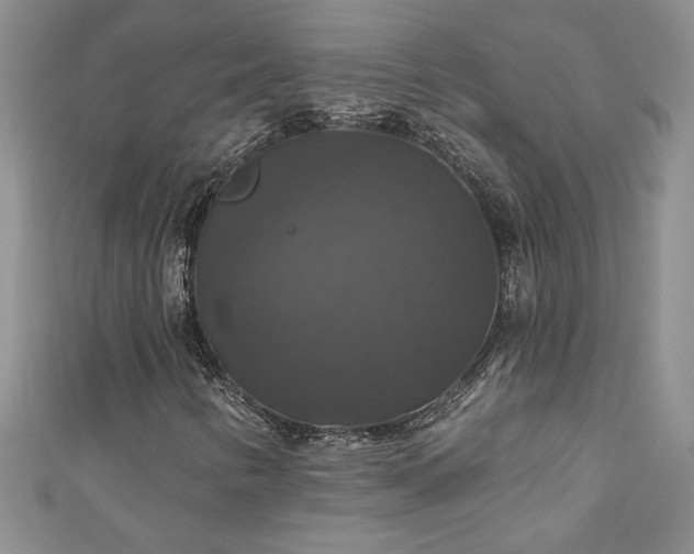 X0000111201346200907011424