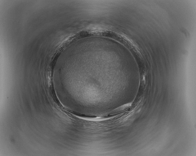 X0000111201348200907011424