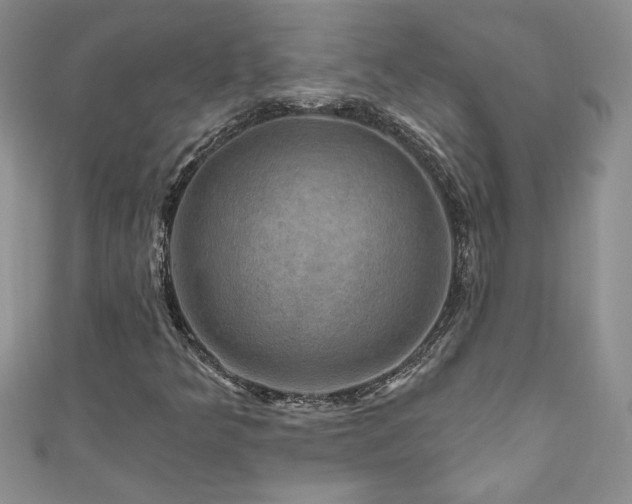 X0000111201349200907011424
