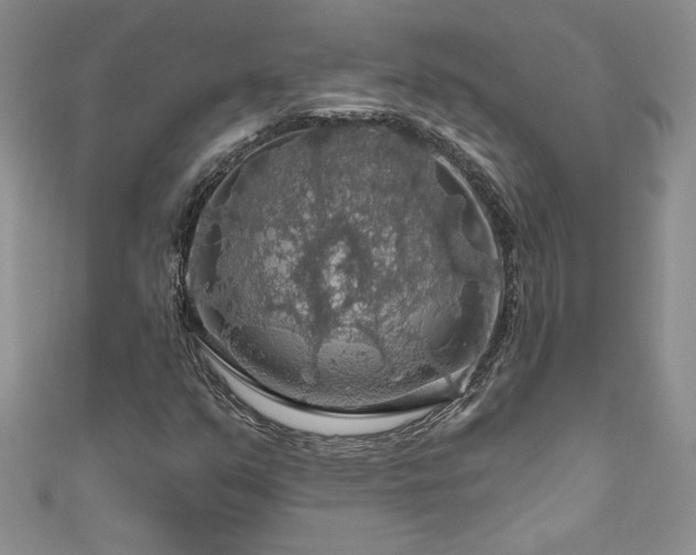 X0000111201351200907011424