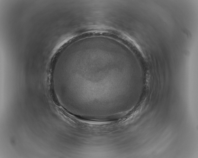 X0000111201352200907011424