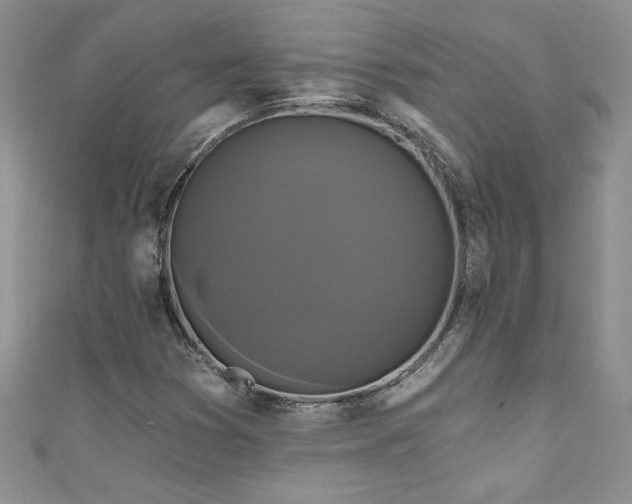 X0000111201353200907011424