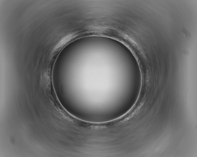 X0000111201354200907011424
