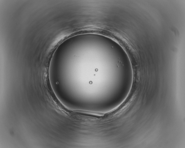 X0000111201355200907011424