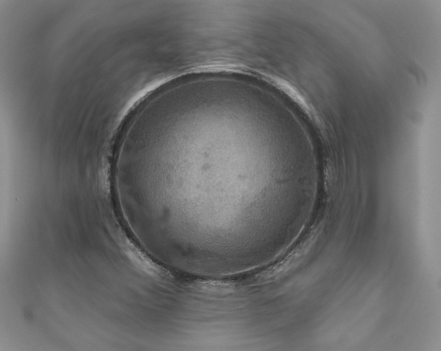 X0000111201356200907011424