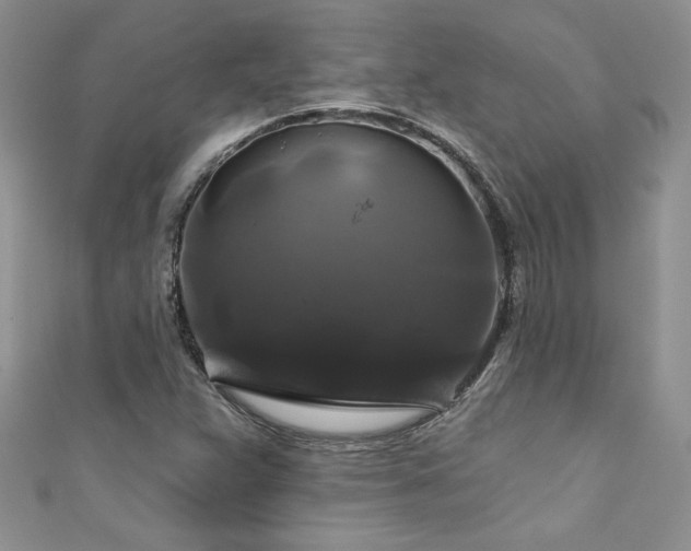 X0000111201359200907011424