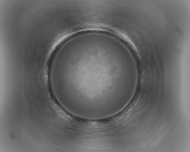 X0000111201360200907011424