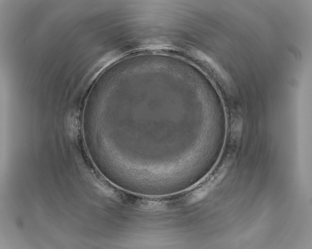 X0000111201361200907011424