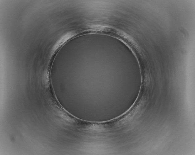 X0000111201362200907011424