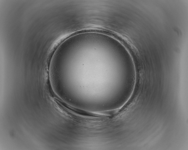 X0000111201363200907011424