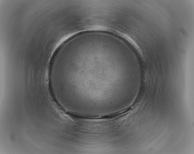 X0000111201364200907011424