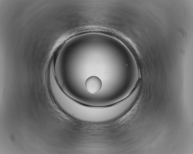 X0000111201365200907011424