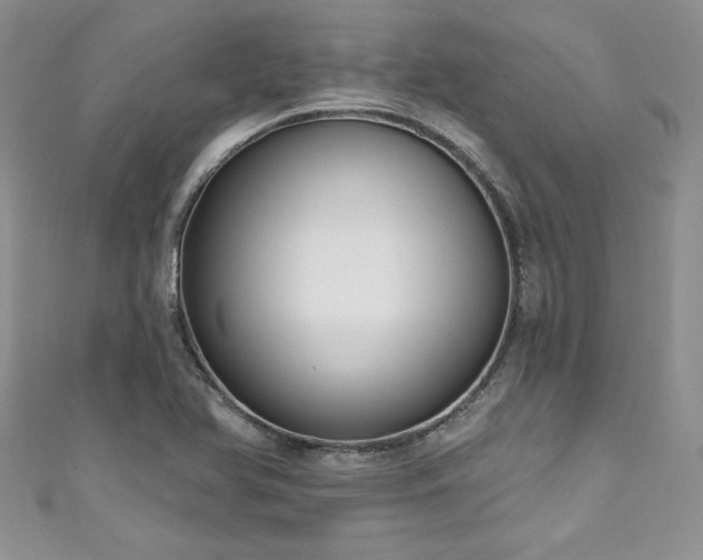 X0000111201366200907011424