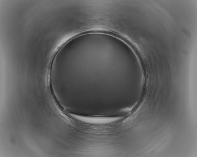 X0000111201367200907011424