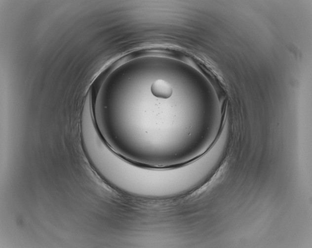 X0000111201369200907011424